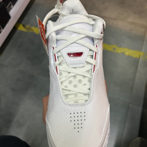 Giay Nike LeBron NXXT Gen AMPD 'Metallic' FJ1567-100