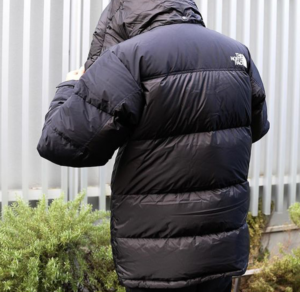 Ao The North Face Him Down Jacket 'Black' ND92031