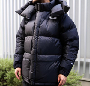 Ao The North Face Him Down Jacket 'Black' ND92031