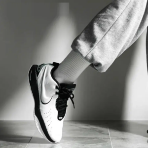 Giay Nike LeBron 21 Connhiolin HF5842-100