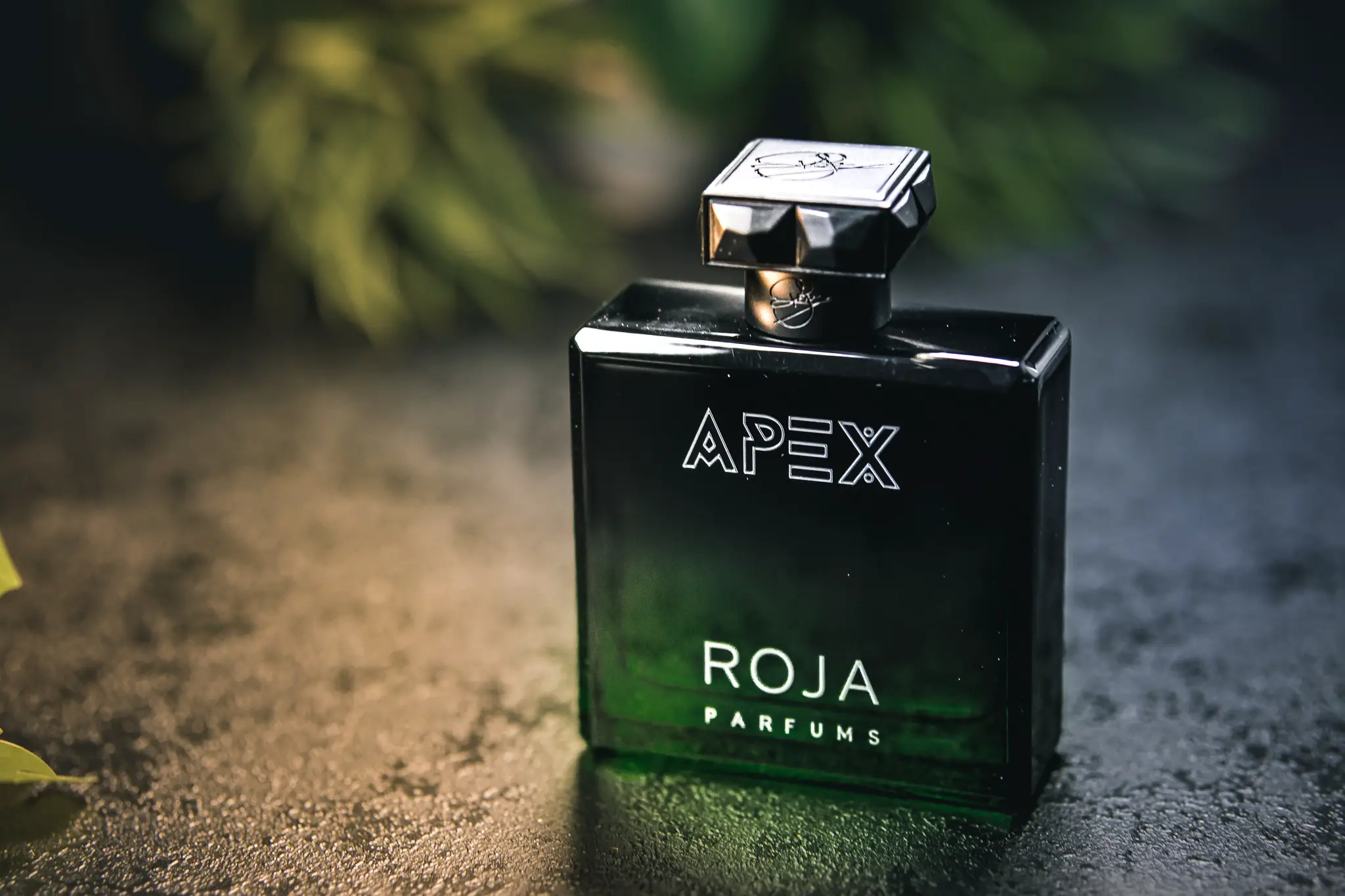 Hinh anh 3: Roja Apex - mot chuyen hanh trinh kham pha the gioi moi