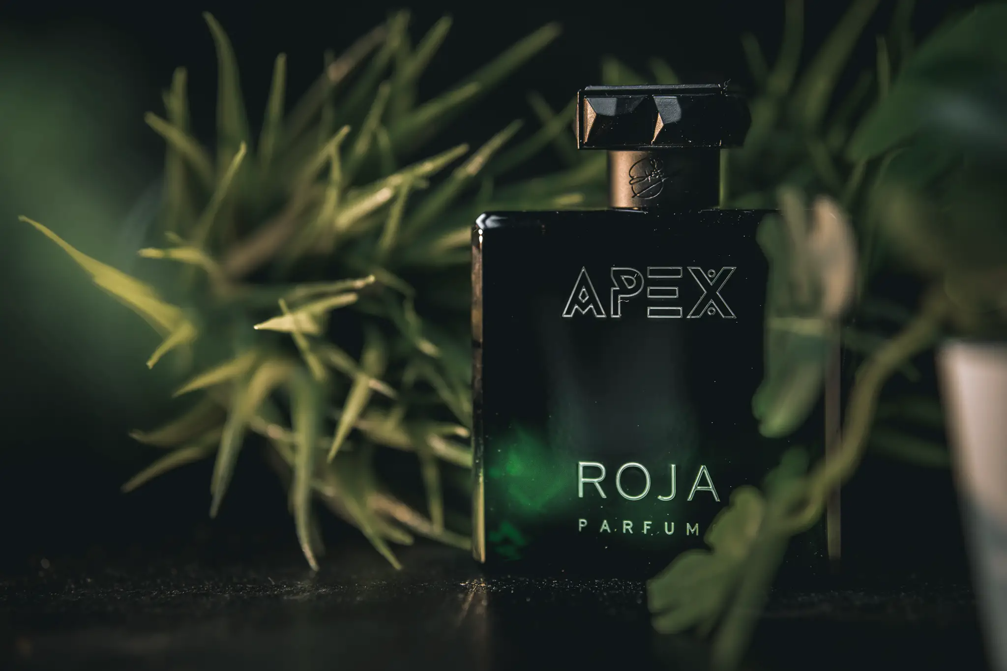 Hinh anh 1: Roja Apex - mot chuyen hanh trinh kham pha the gioi moi