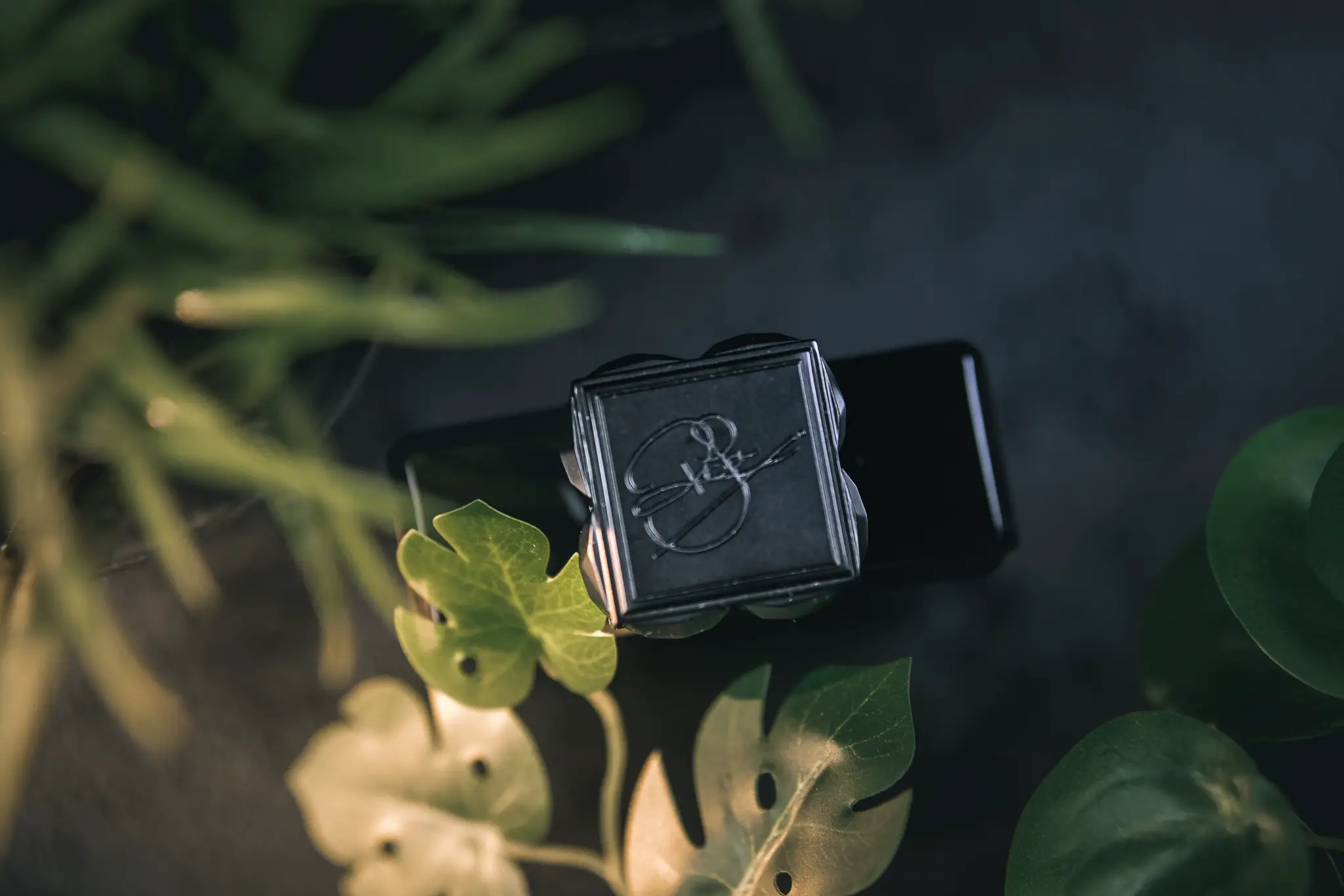 Hinh anh 4: Roja Apex - mot chuyen hanh trinh kham pha the gioi moi