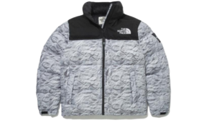 Ao The North Face 'Gray' NJ1DN51O