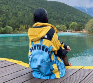 Ao Supreme x The North Face Jacket 'Yellow' SUP-FW19-907