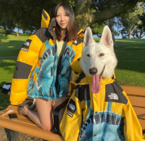 Ao Supreme x The North Face FW19 'Yellow' SUP-FW19-910