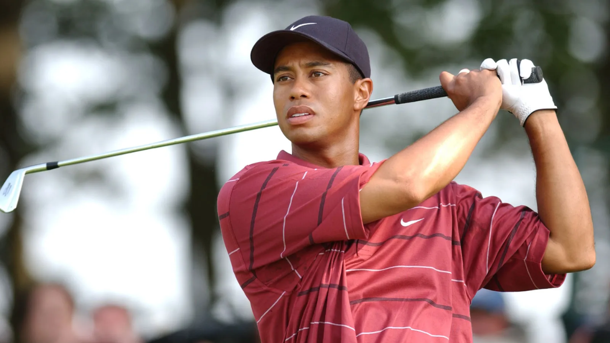 Hinh anh 3: Tiger Woods: So luoc ve lich su voi ong lon Nike