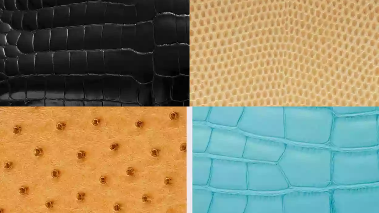 Hinh anh 5: Huong dan cach bao quan va ve sinh tui Hermes cua ban