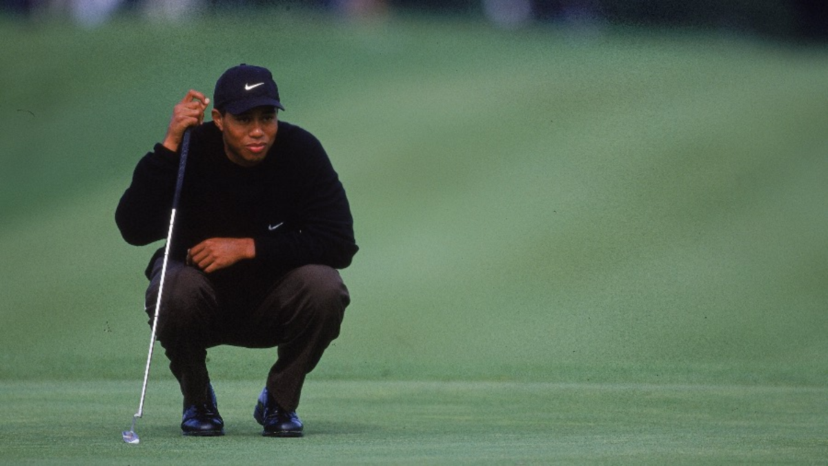 Hinh anh 6: Tiger Woods: So luoc ve lich su voi ong lon Nike