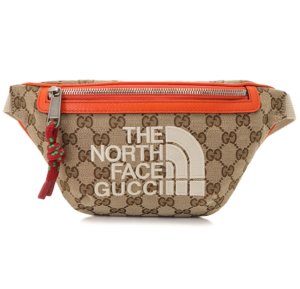 Tui Gucci x The North Face Belt Bag 'Beige Ebony' 650299-GY5UN-8895