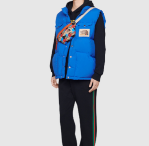 Tui Gucci x The North Face Online Exclusive 'Multi' 650299-2QUDN-6478