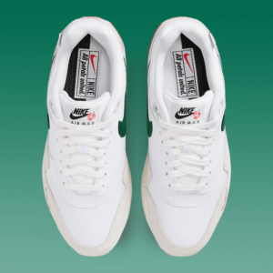 Giay Nike Air Max 1 'All Petals United' FQ0256-131