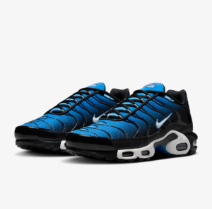 Giay Nike Air Max Plus Aquarius 'Blue' DM0032-402