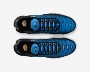 Giay Nike Air Max Plus Aquarius 'Blue' DM0032-402