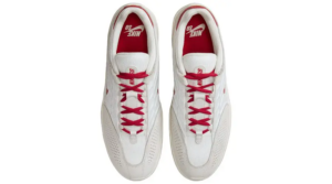 Giay Nike Sb Vertebrae 'White Bone Red' FD4691-100