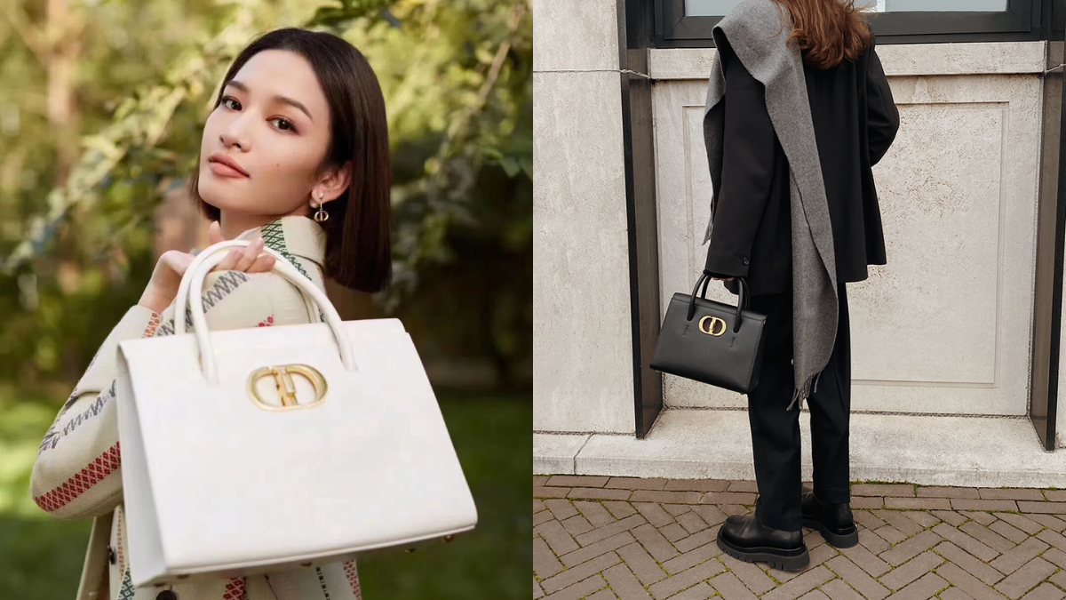 Hinh anh 9: 10 mau tui Dior co dien truong ton voi thoi gian