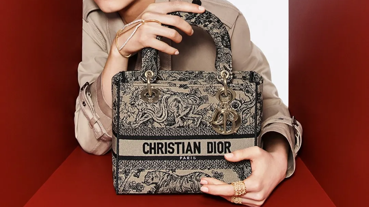 Hinh anh 1: 10 mau tui Dior co dien truong ton voi thoi gian