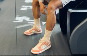 Giay Nike Dunk Low Premium 'Red Stardust' FB8895-601