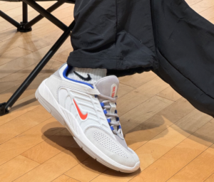 Giay Nike SB Vertebrae FD4691-102