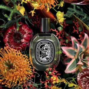 Nuoc Hoa Diptyque Doson EDP