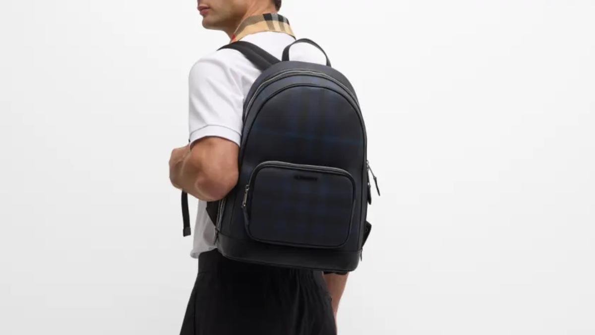 Hinh anh 10: Sang trong va tinh te: Kham pha nhung chiec tui da nam cao cap