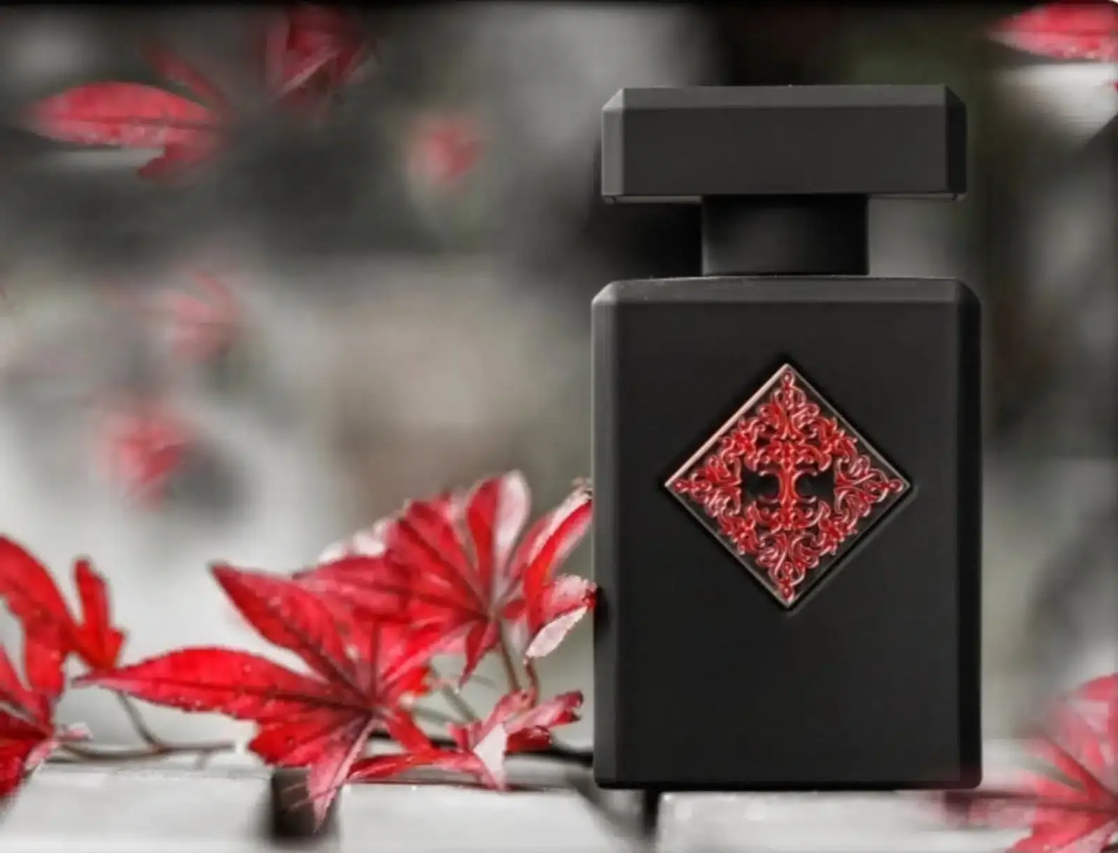 Top 8 chai nước hoa có hương Vanilla được ưa chuộng nhất 2024 Hinh anh 5: Top 8 chai nuoc hoa co huong Vanilla duoc ua chuong nhat 2024