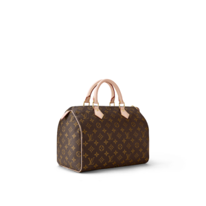 Tui Louis Vuitton Speedy 30 'Brown' M41108