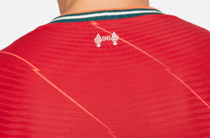 Ao Nike Liverpool 21/22 Vapor Home Jersey 'Red' DB2533-688