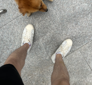 Giay Adidas Superstar 82 'White Aluminium' GY3429