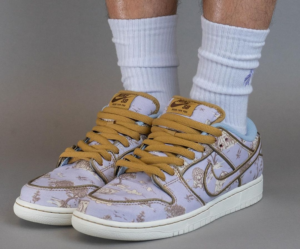 Giay Nike Dunk Low Premium SB 'City of Style Pack' FN5880-001