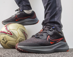 Giay Nike Winflo 8 Shield 'Bronze Eclipse Redstone' DC3727-200