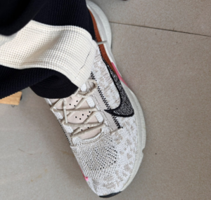 Giay Nike Wmns SuperRep Go 3 Flyknit 'Oatmeal' DH3393-104