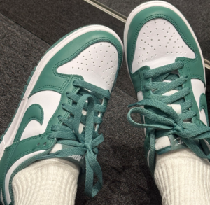 Giay Nike Dunk Low 'Biocoastal' DD1873-107