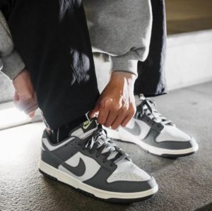 Giay Nike Dunk Low Next Nature 'Iron Grey' FZ4621-001