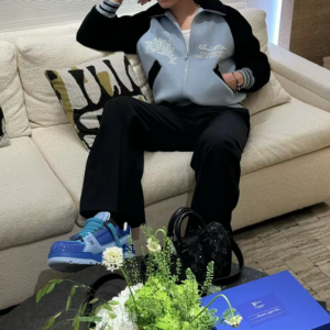 Giay Louis Vuitton Trainer Maxi 'Blue' 1ACF7I