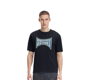 Ao Stussy Champion Pigment Dyed Tee 'Black'