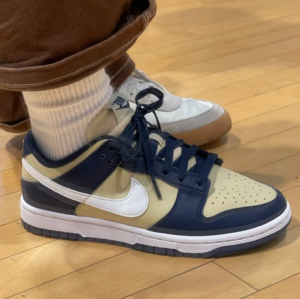 Giay Nike Dunk Low Next Nature 'Navy Gold' DD1873-401