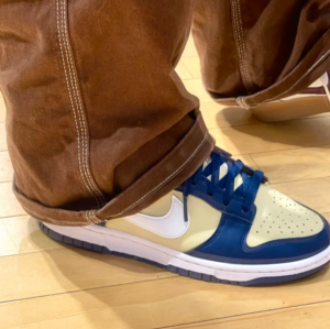 Giay Nike Dunk Low Next Nature 'Navy Gold' DD1873-401