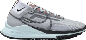 Giay Nike React Pegasus Trail 4 GORE-TEX 'Smoke' DJ7929-005