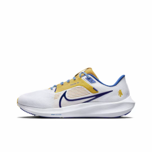 Giay Nike Air Zoom Pegasus 40 'North Carolina A&T' DZ5952-100