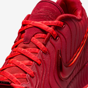 Giay Nike LeBron 21 'James Gang' HF5951-600