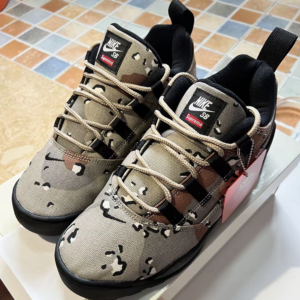 Giay Nike Darwin Low SB x Supreme 'Desert Camo' FQ3000-200
