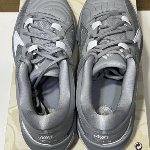 Giay Nike Zoom Freak 5 TB 'Wolf Grey' DZ2946-002