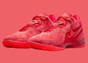 Giay Nike Zoom LeBron NXXT Gen AMPD 'James Gang' FJ1566-600