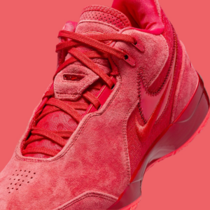 Giay Nike Zoom LeBron NXXT Gen AMPD 'James Gang' FJ1566-600