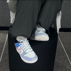 Giay Nike Dunk Low GS 'Red Mesh' HF5742-111