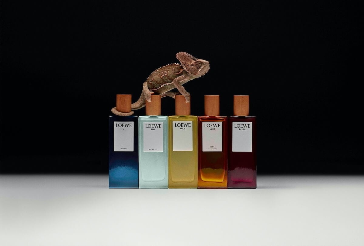 Hinh anh 9: Nuoc Hoa Loewe: Hon Ca Mot Mui Huong