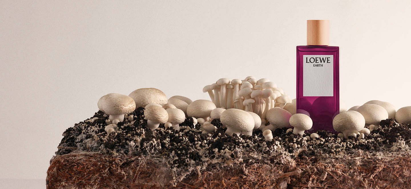 Hinh anh 4: Loewe Earth - su ket hop tinh te cua thien nhien va nghe thuat nuoc hoa