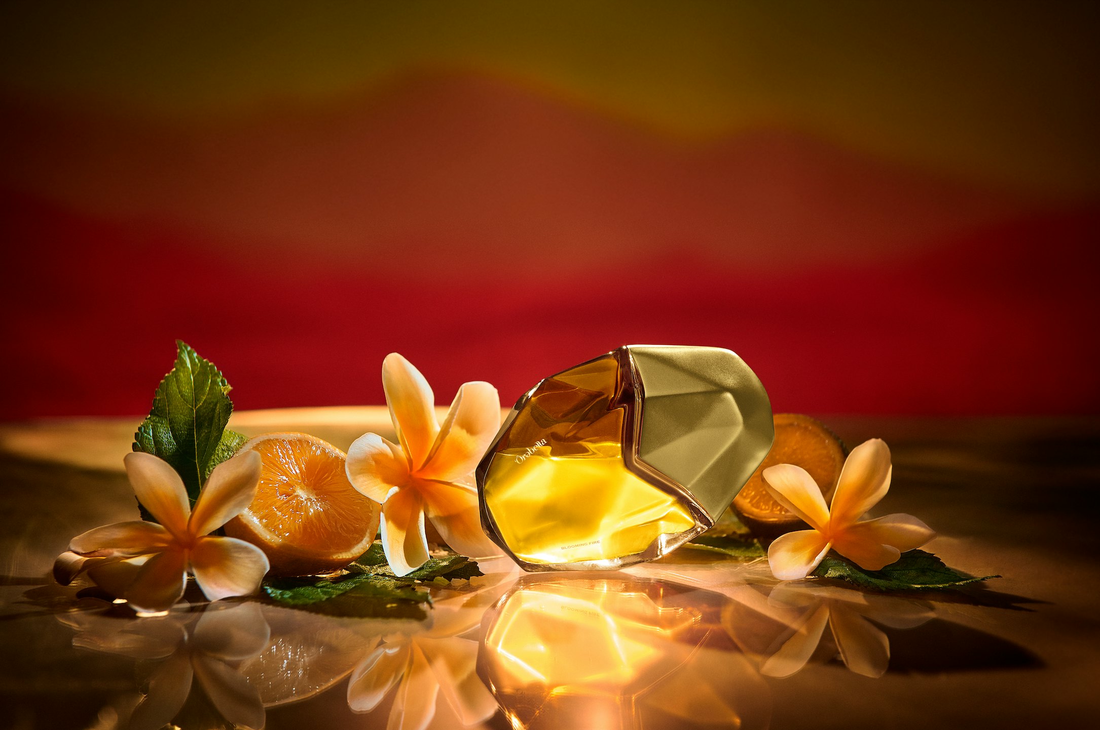 Orebella - một câu chuyện đầy ấn tượng về mùi hương từ Bella Hadid Hinh anh 5: Orebella - mot cau chuyen day an tuong ve mui huong tu Bella Hadid