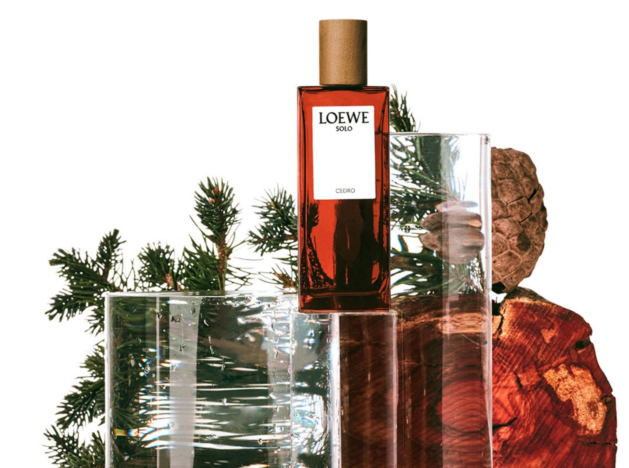 Hinh anh 8: Nuoc Hoa Loewe: Hon Ca Mot Mui Huong